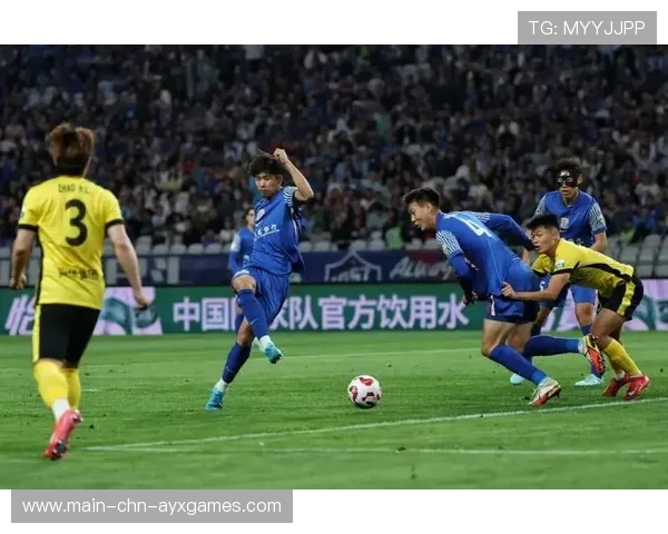 申花中卫组合艾迪柏佳骏亮眼